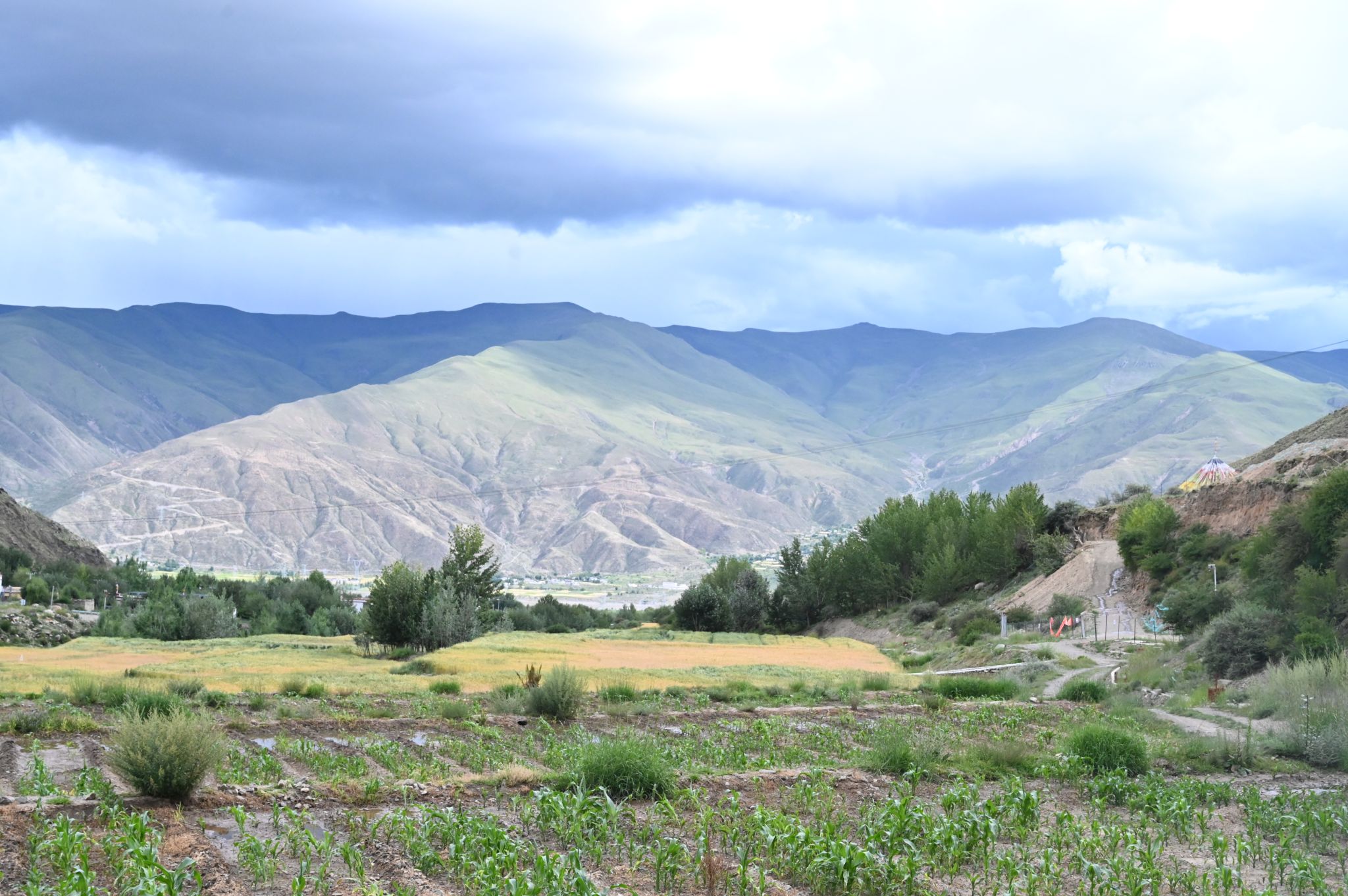 山西建投建工集團(tuán)拉薩南北山曲水縣營(yíng)造林先造后補(bǔ)工程（二期）