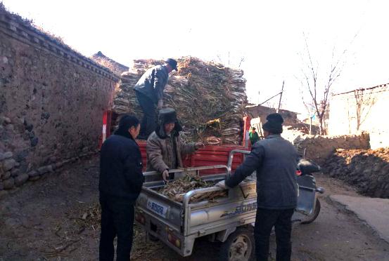 購買“大蔥”溫暖貧困戶山西建投六建集團(tuán)幫扶獻(xiàn)愛心